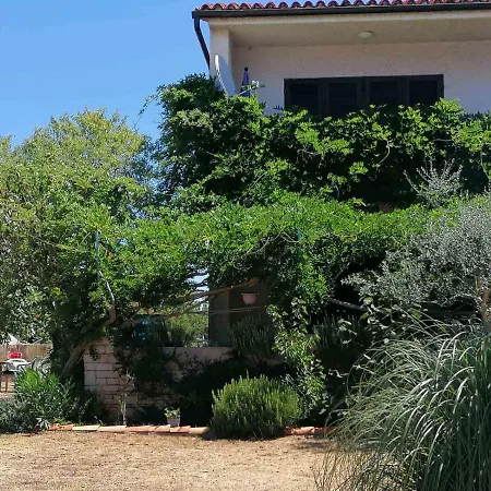 Apartament Mendula *
