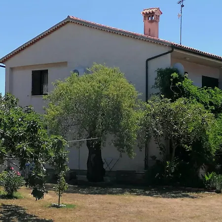 Mendula Apartament *