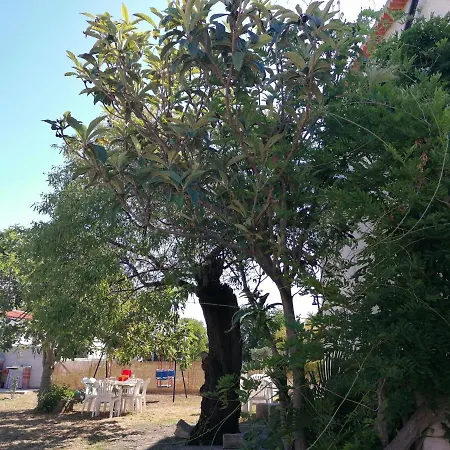 Mendula Apartament *